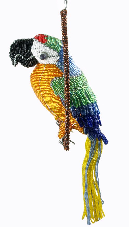 beaded macaw; beaded parrot