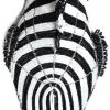 zebra head