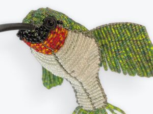 hummingbird garden